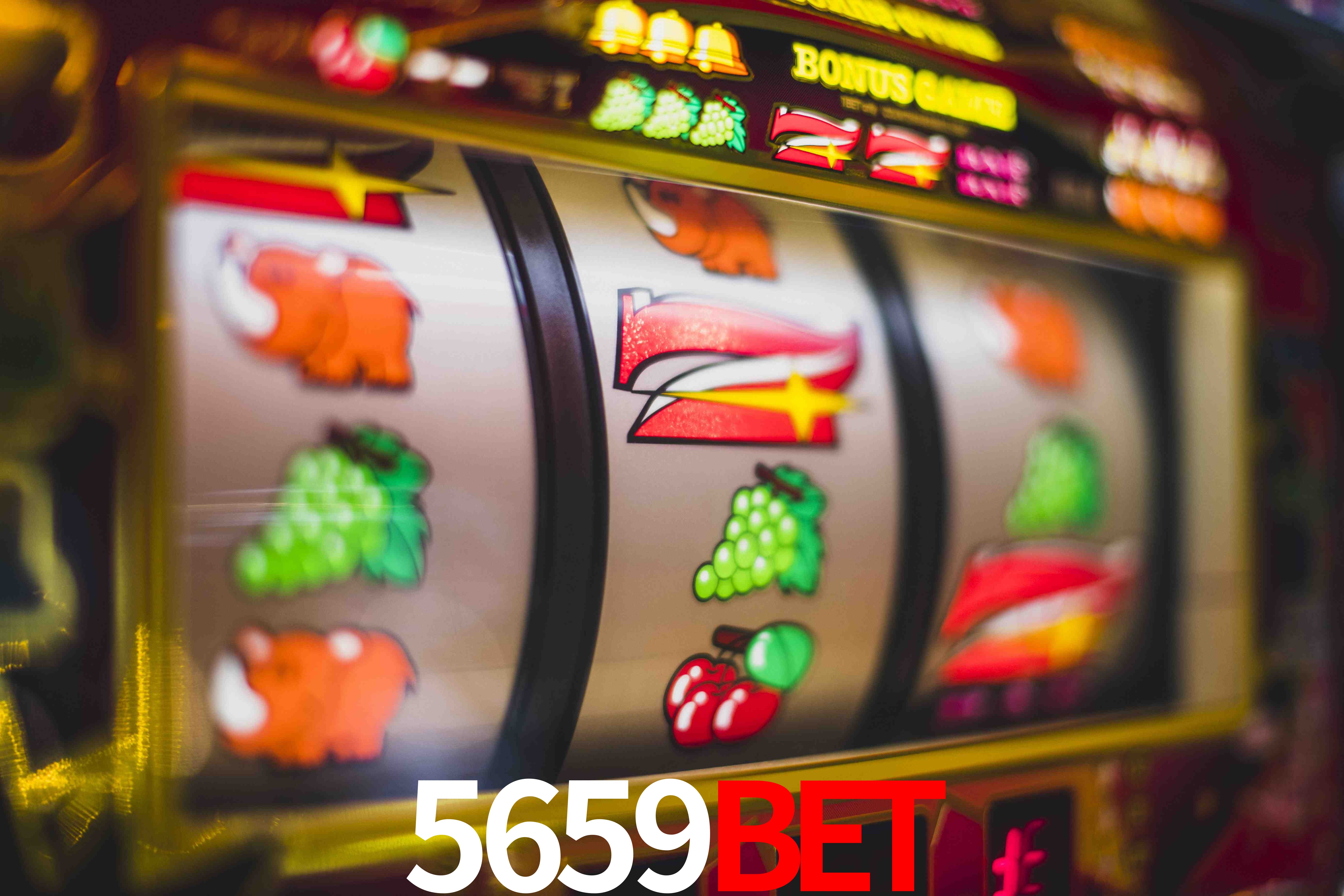 Football Betting 5659bet